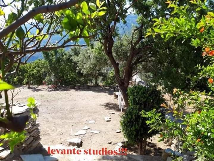 Levante Studios Αndros Menites Exterior photo